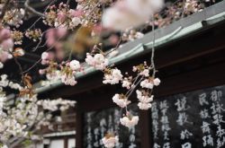 日本出台新规：限制加密货币保证金交易杠杆率 
